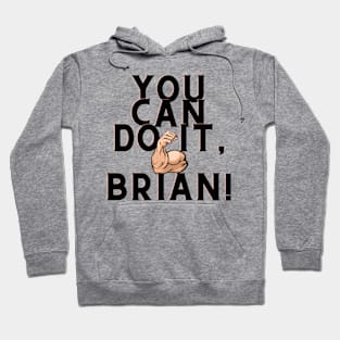 You can do it, Brian Hoodie